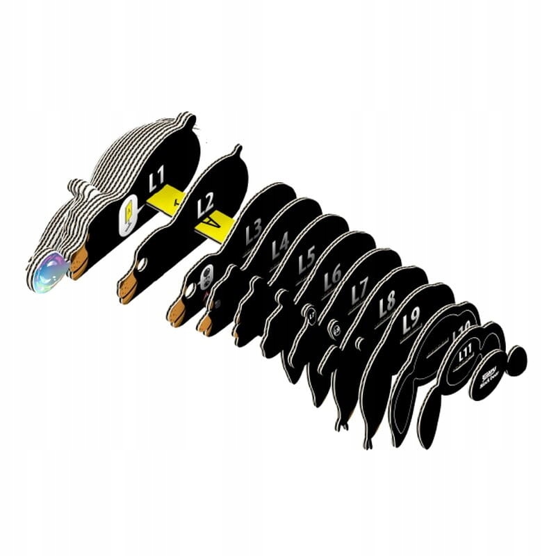 EUGY Eko Układanka Puzzle 3D Niedźwiedź brunatny - zestaw kreatywny Materiał karton