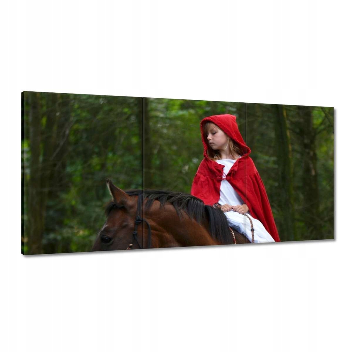 Obrazy 180x90 Kôň Kone Jazdenie