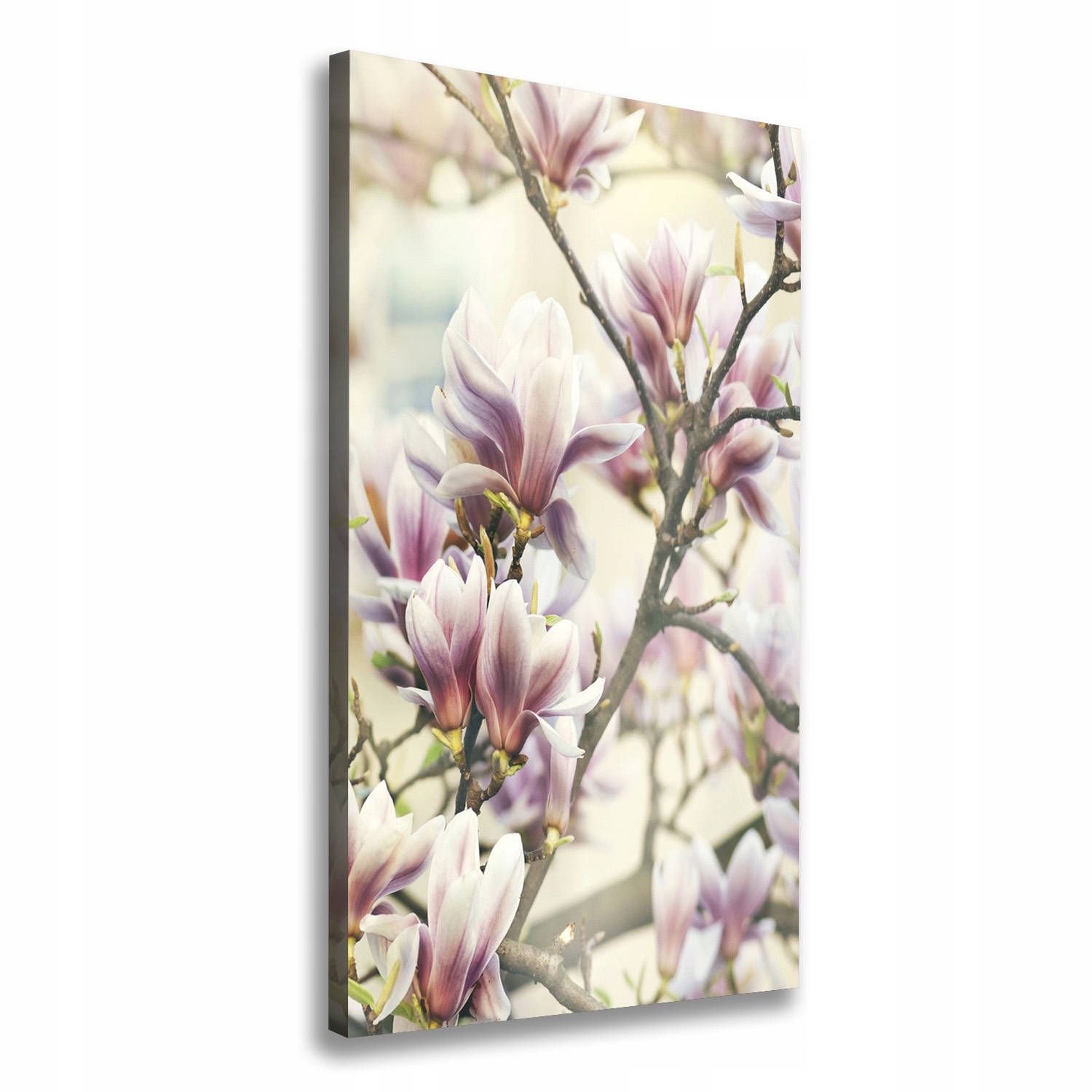 

Foto obraz na płótnie do salonu Magnolia 60x120 cm