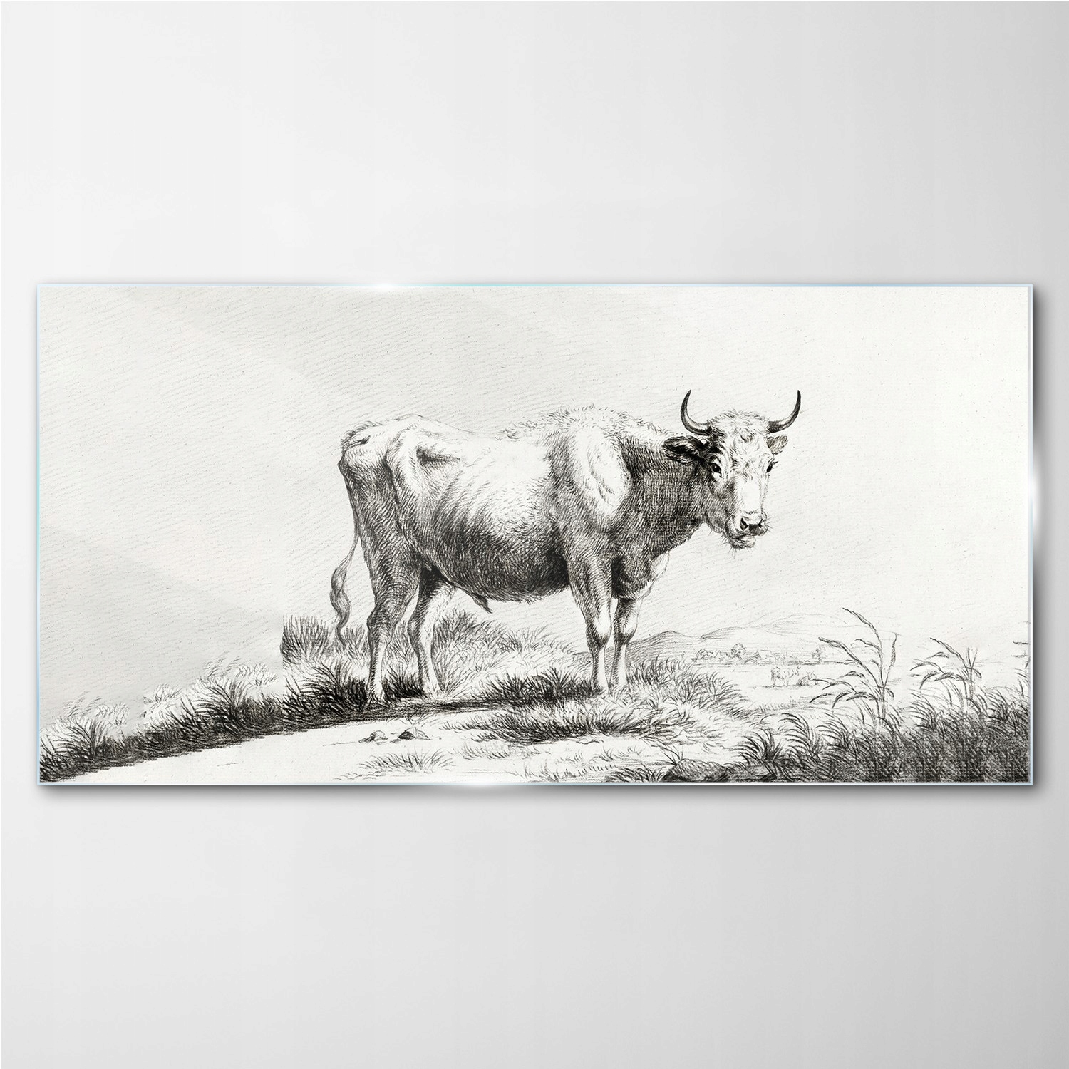 

Obraz szklany z nadrukiem Zwierzę krowa 140x70 cm