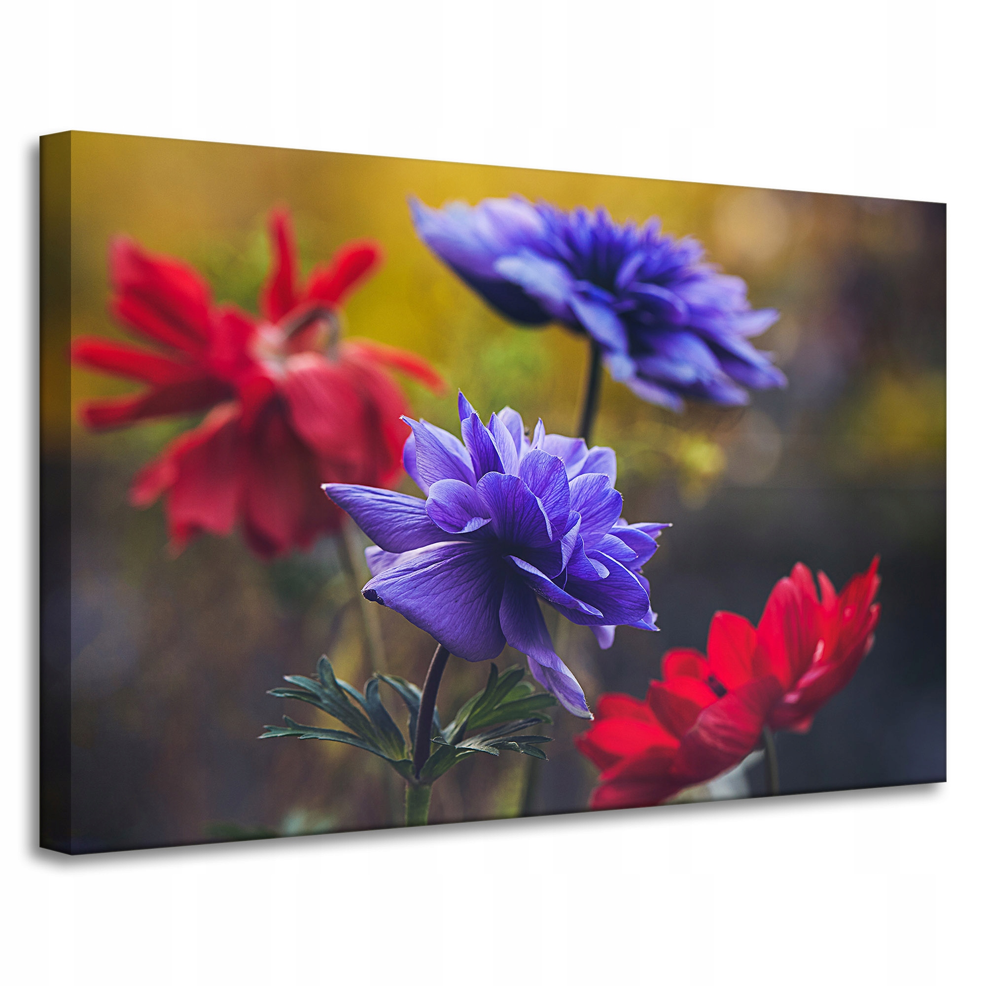 Obraz na plátně Botanika Květiny v zahradě 90x60