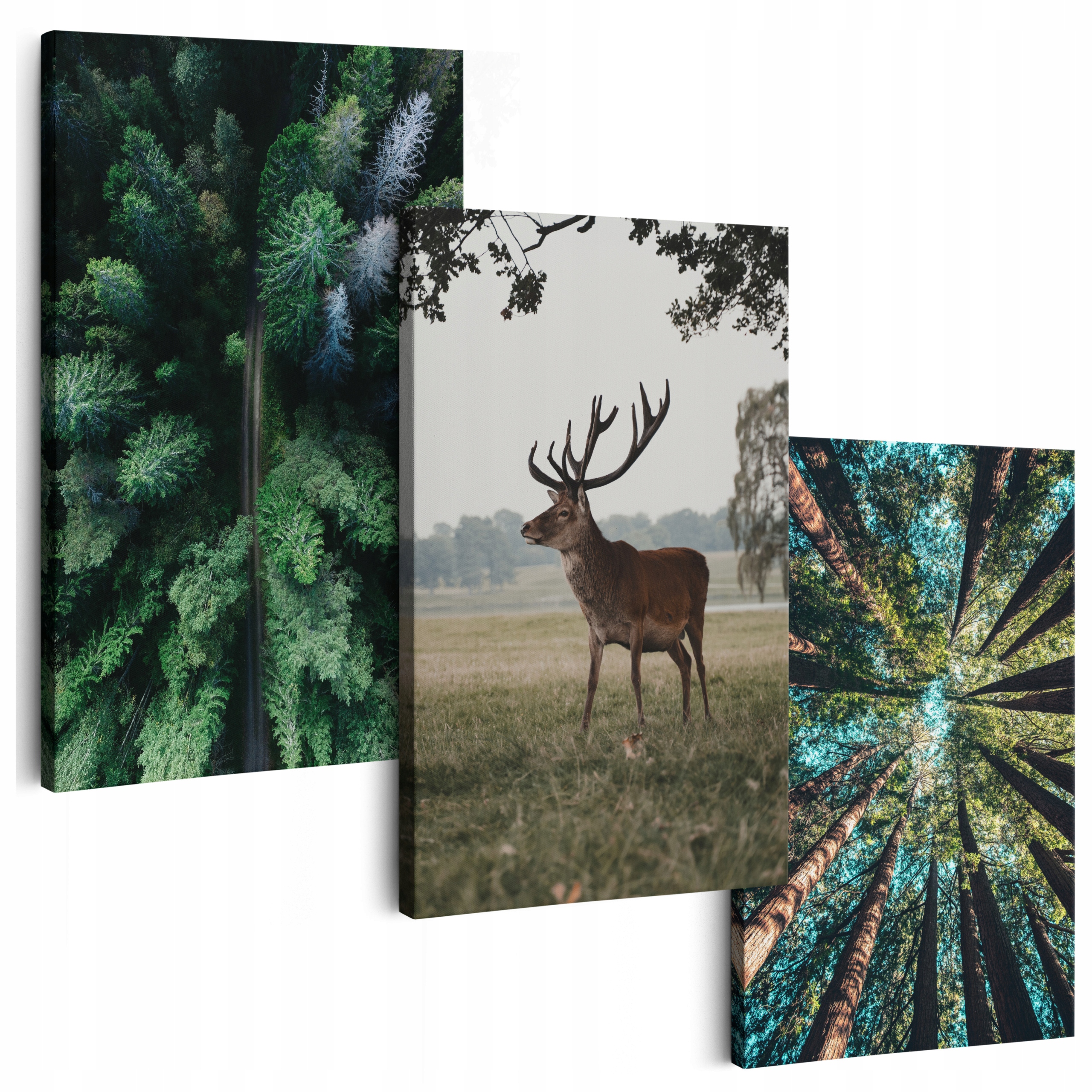 Obraz Na Plátne 180 cm **veľa vzorov** 3 Ks Obrazovky Do Obývačky Na Stenu