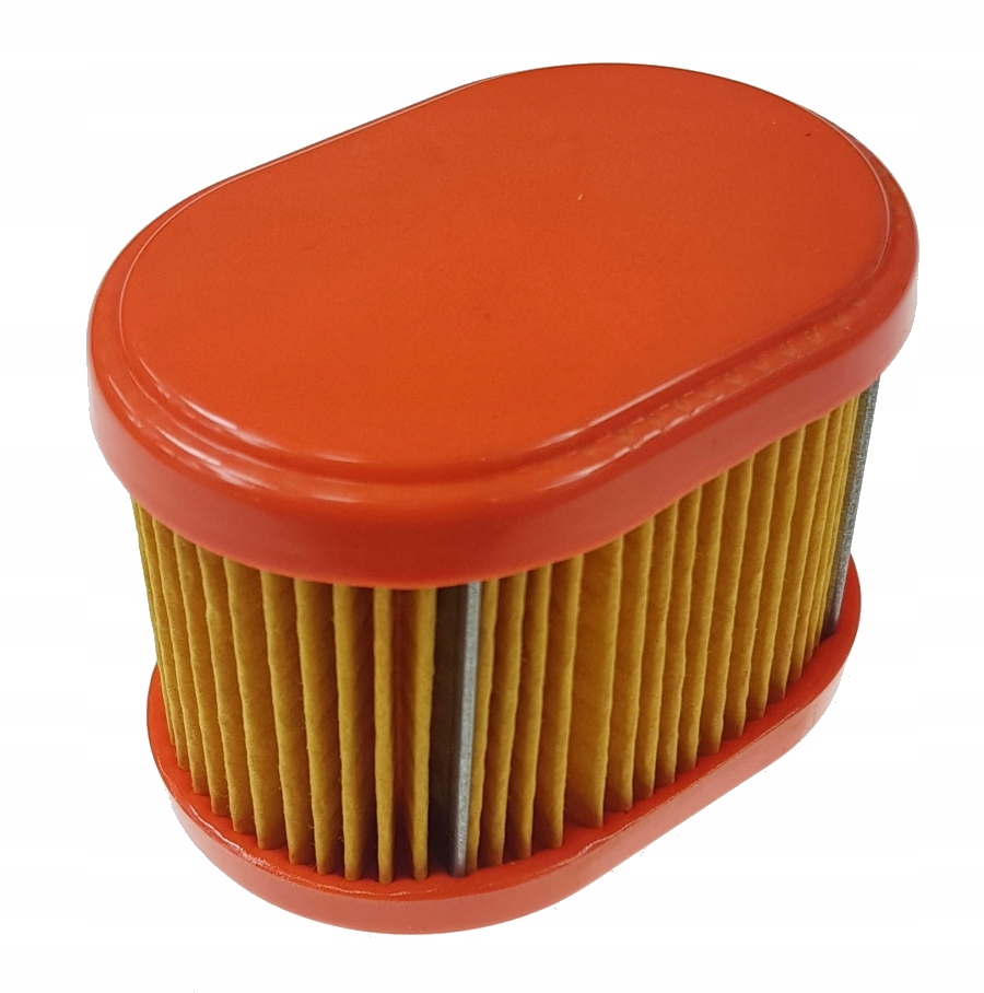 

Filtr Powietrza Briggs & Stratton 790166
