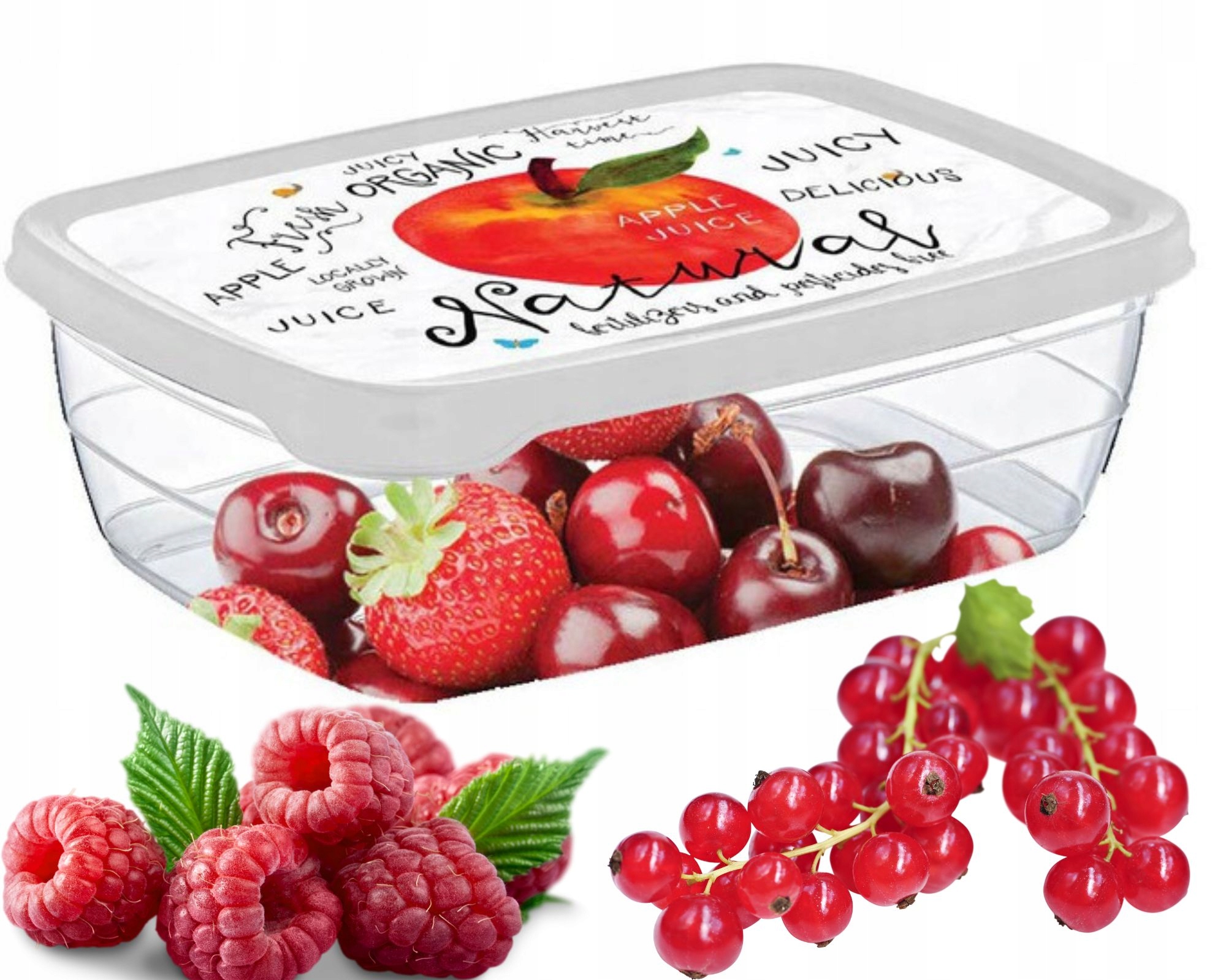 

Pojemnik Prostokątny Z Motywem 1,2L Lunchbox