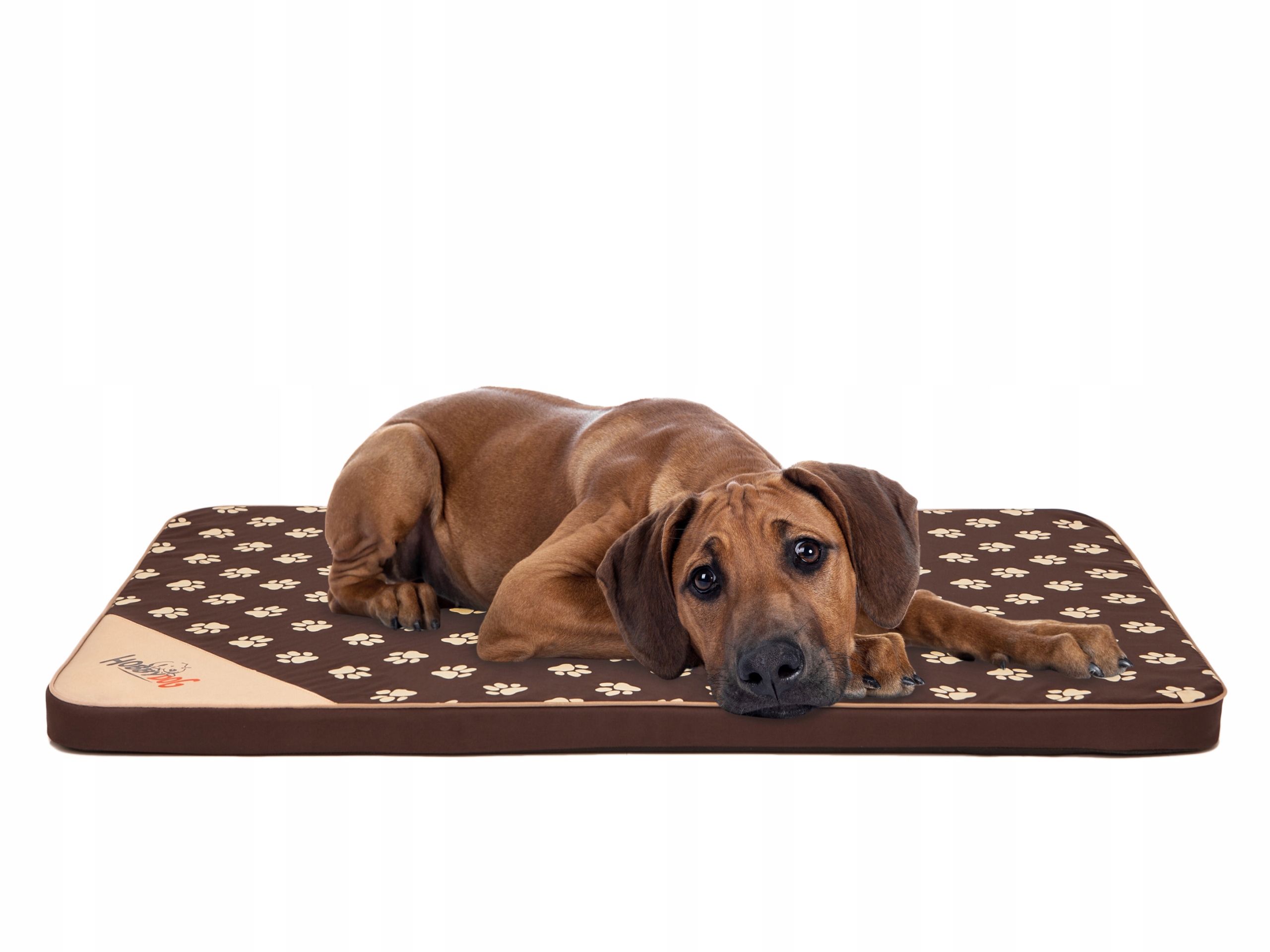 Levně Matrace Light, Pelíšek Postel kotec pro psa M 80x54 cm