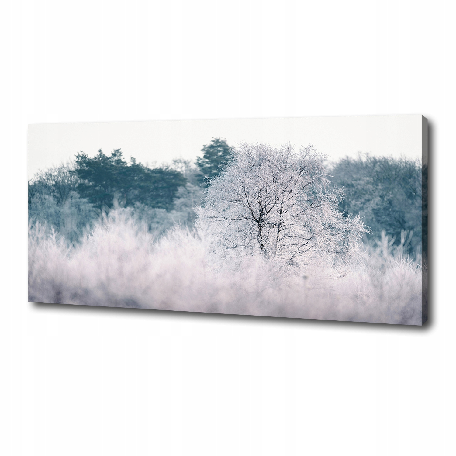 

Foto obraz canvas na ścianę Drzewa zimą 125x50 cm