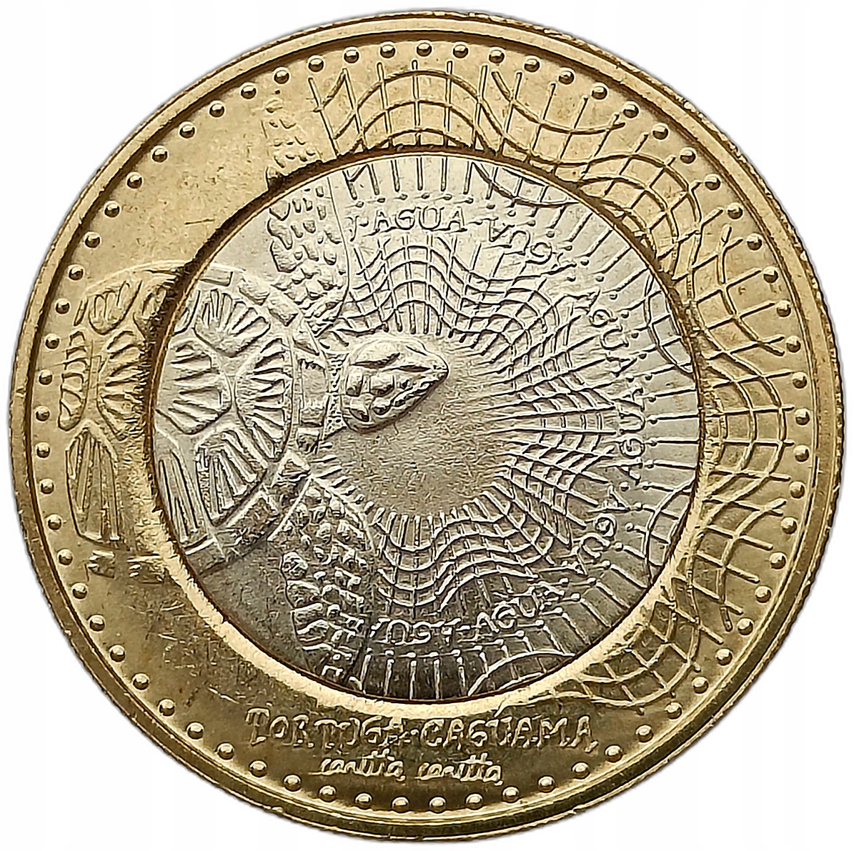 KOLUMBIA 1000 PESOS 2023 ŻÓŁW GŁOWIASTY - BIMETAL MENNICZA