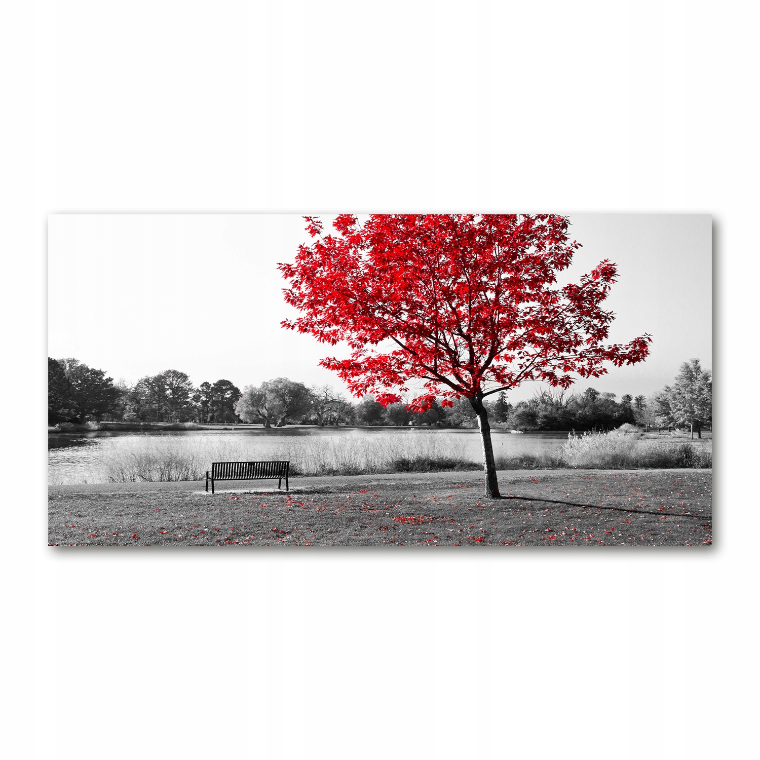 

Foto-obraz akryl Czerwone drzewo zdjęcie 140x70 cm