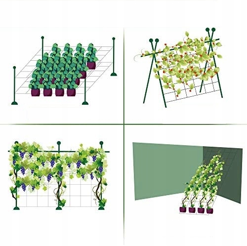 SIATKA ROŚLINY PNĄCE OGÓRKI GROSZEK FASOLA 2x20m Kod producenta AS-CN08151720020