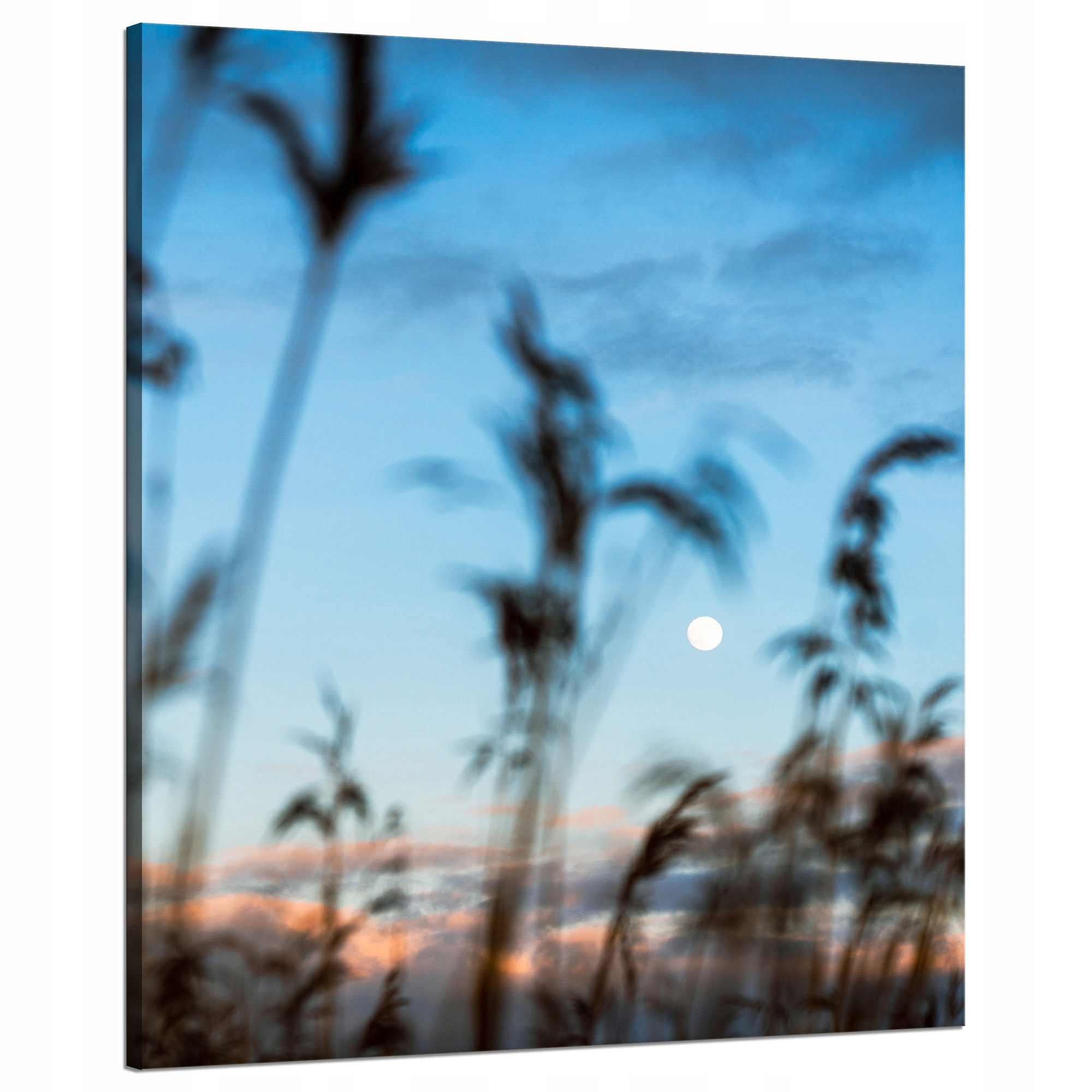Obraz na plátně Příroda Polana Louka Východ Slunce 80x100