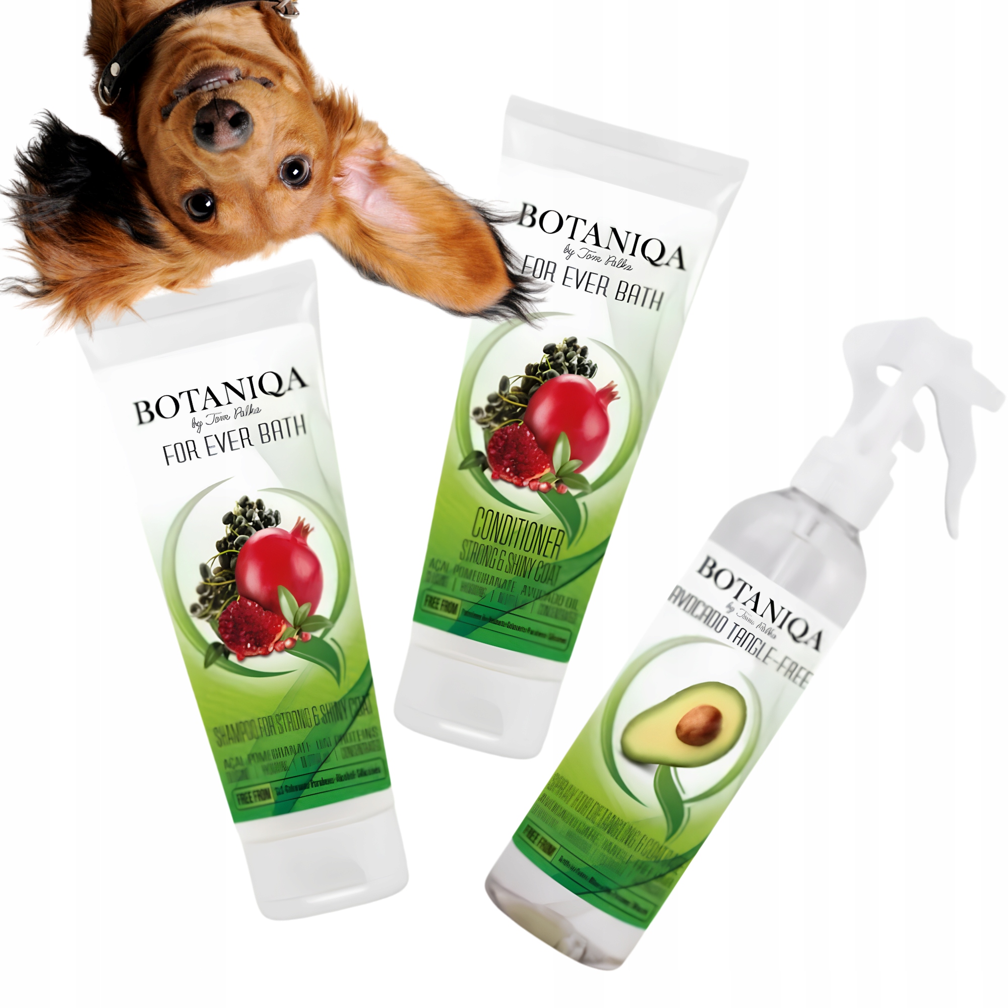 Zestaw 3w1 Botaniqa Pies Szampon Odżywka For Ever Bath Tangle Free Spray