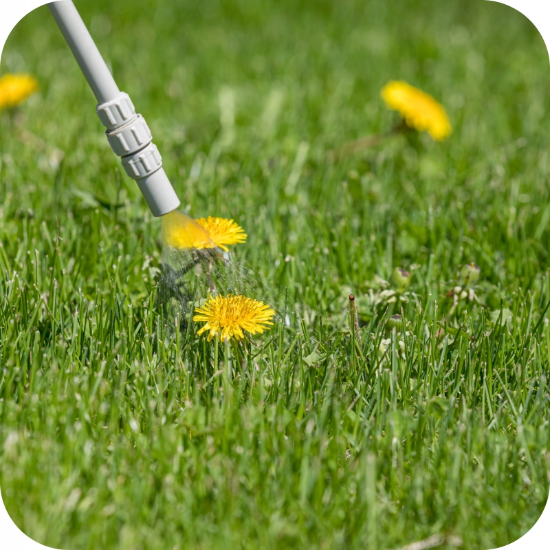 ROUNDUP 360 PLUS RANDAP 1L + ADIUWANT = LEPSZA SKUTECZNOŚĆ ZWALCZANIA Waga 1.2 kg