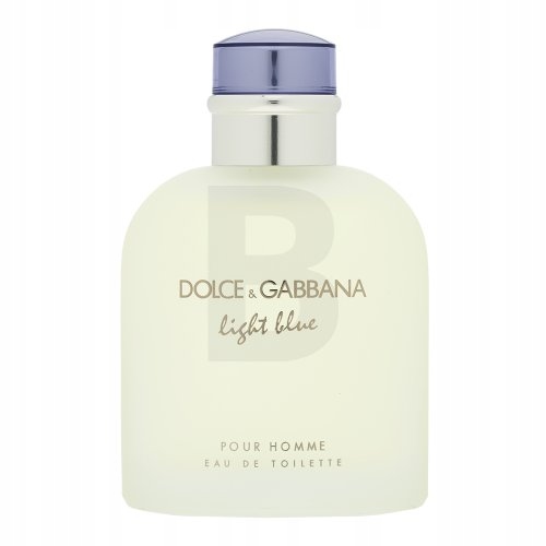 Dolce & Gabbana Light Blue Pour Homme toaletní voda pro muže 125 ml