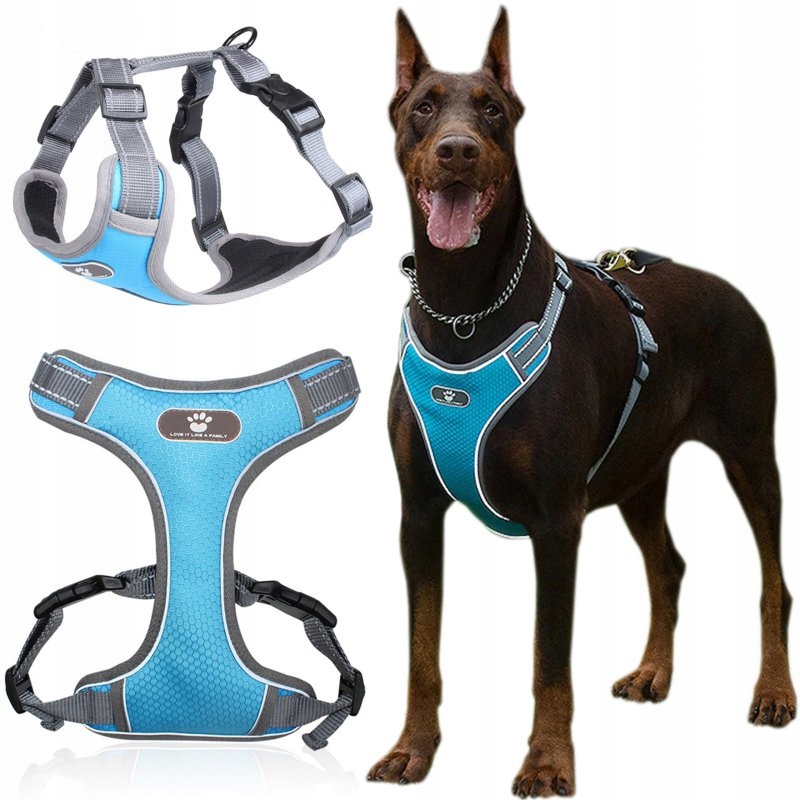 Tréningový vychádzkový postroj pre psa modrý XL