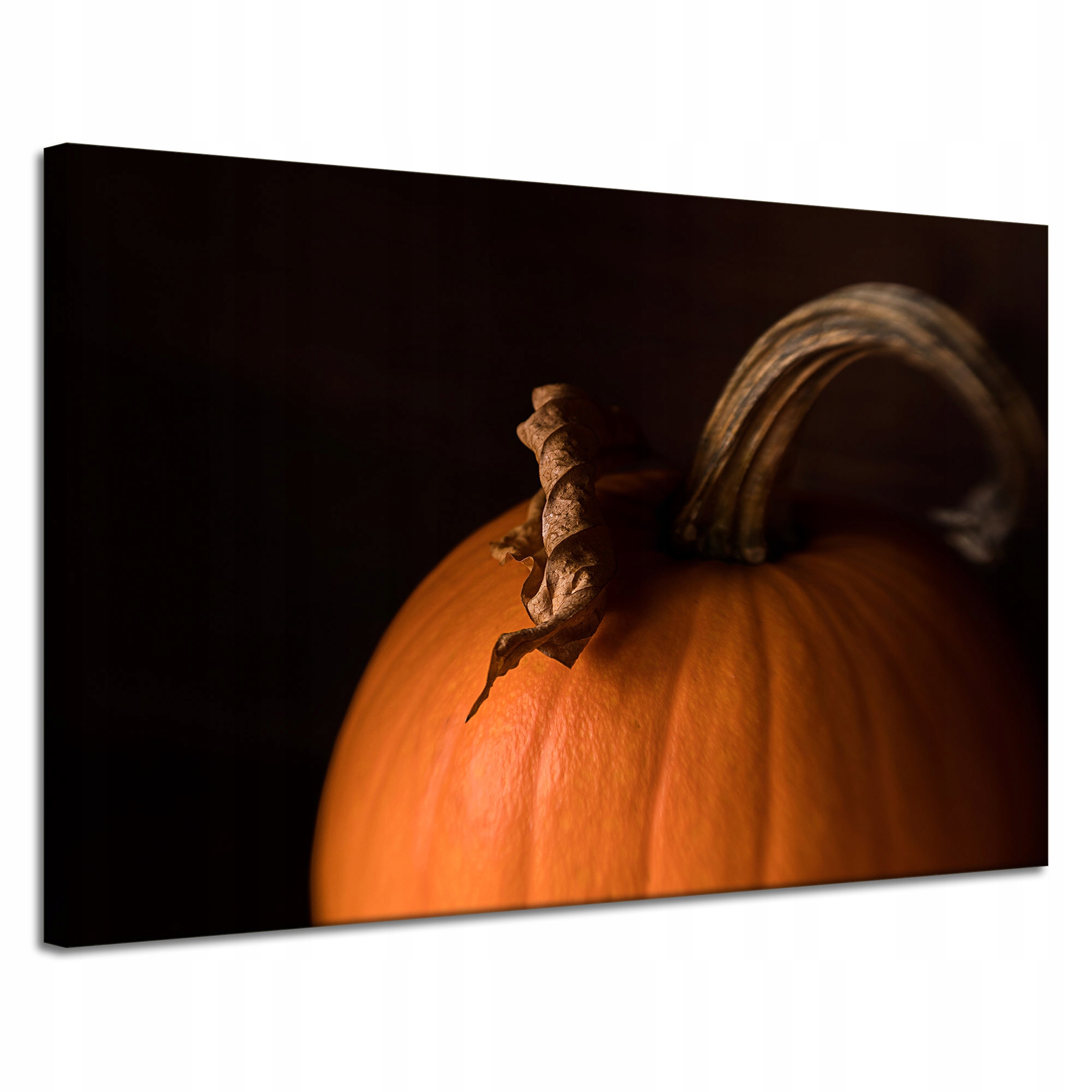 Obraz Cavnas Kuchyně Dýně na černém pozadí 120x80