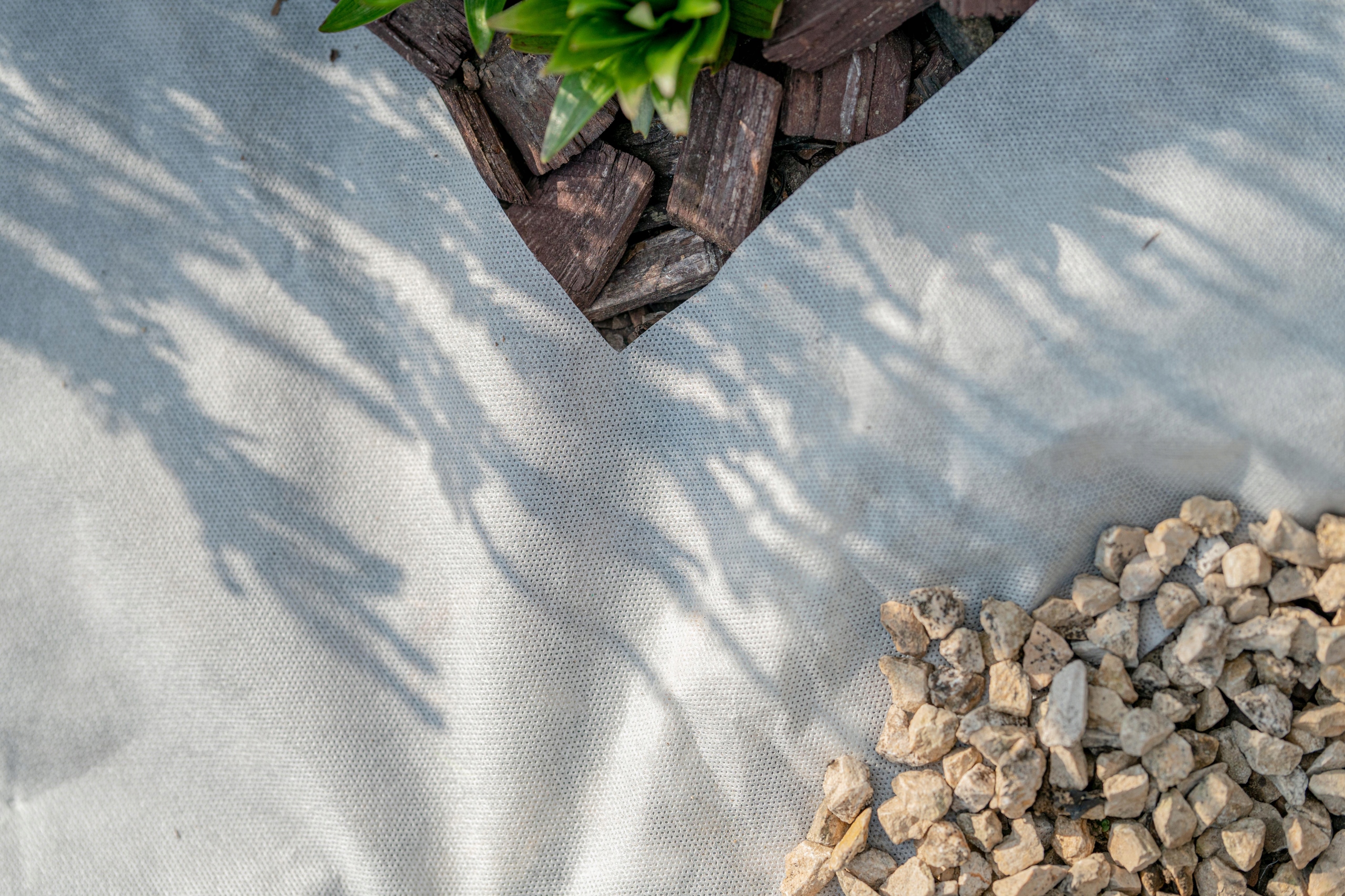 AGROWŁÓKNINA BIAŁA ZIMOWA 50g 1,6x20m OTULINA PL Kolor biały