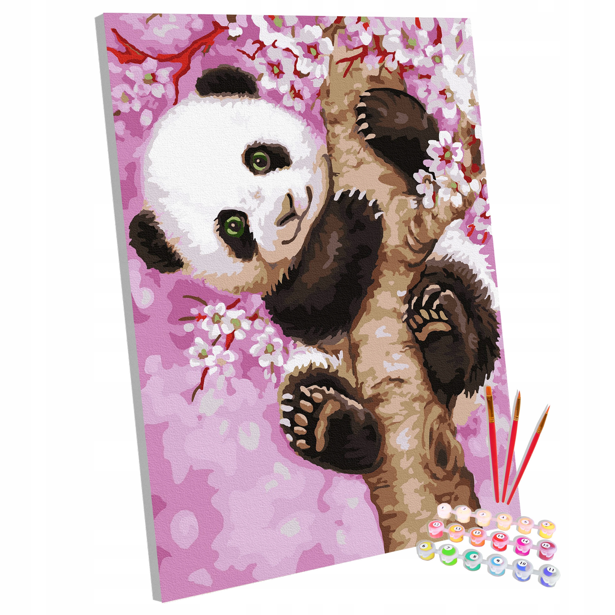 Obraz Malování Podle Čísel Na Rámu Na Malování Rám 40x50 cm Panda
