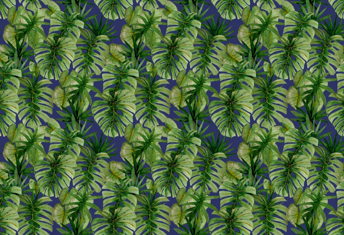 

Tapeta Flizelinowa Tropikalna monstera - 104x70