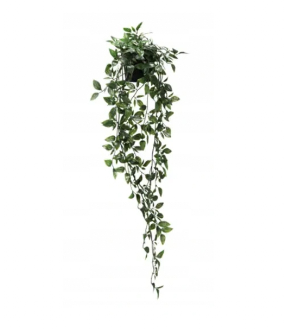 

Ikea Fejka sztuczna roślina wew/zew wisząca 70cm