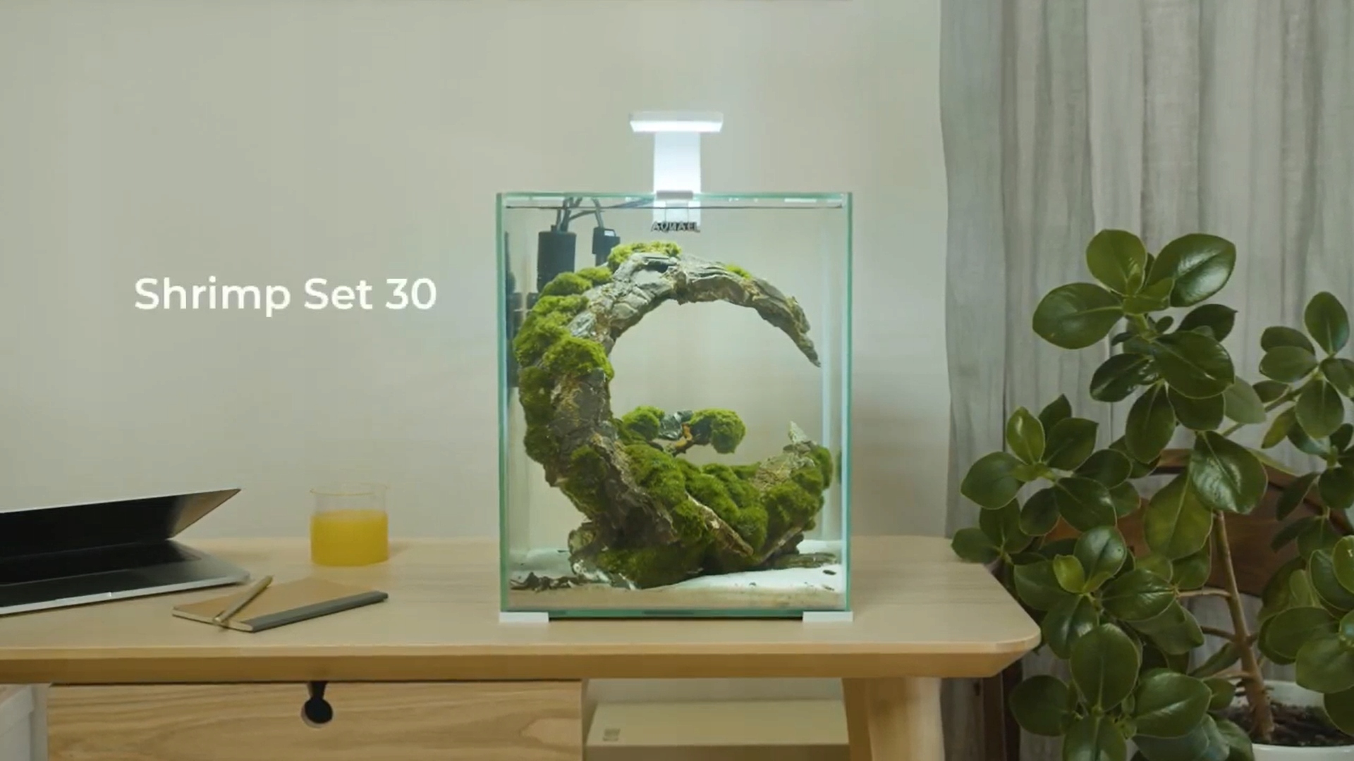 AQUAEL SHRIMP SET II 30L CZARNY Krewetkarium Grubość szkła 4 mm