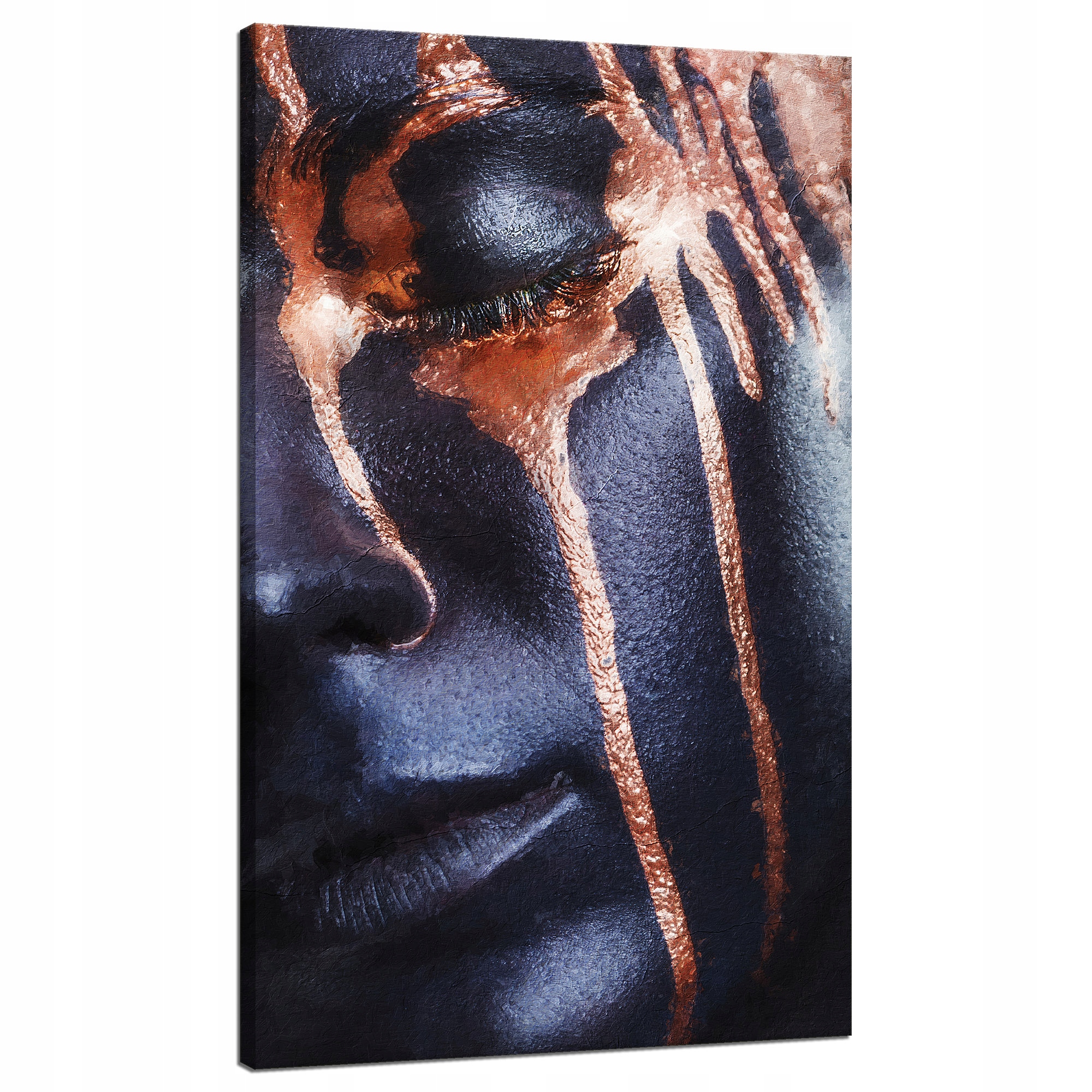 Obraz na plátně Černá Tvář Hnědé pruhy 70x120 cm Ideální jako dárek