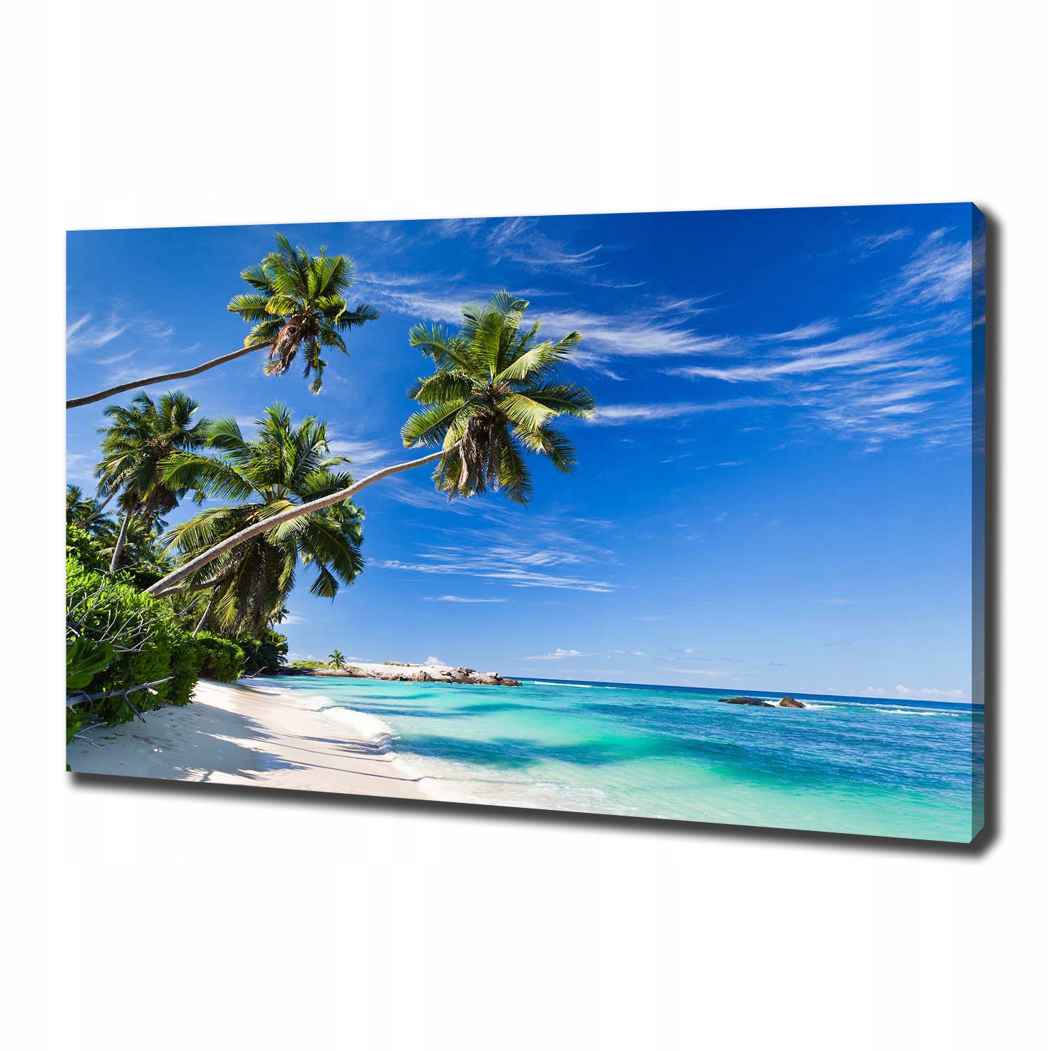 

Foto obraz na płótnie Tropikalna plaża 100x70 cm