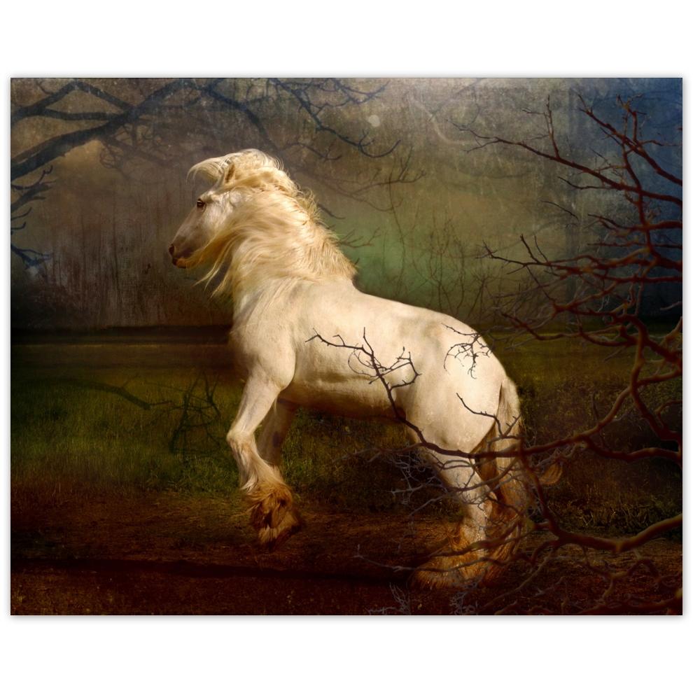 

Plakat 50x40 Koń Konie Jeździectwo