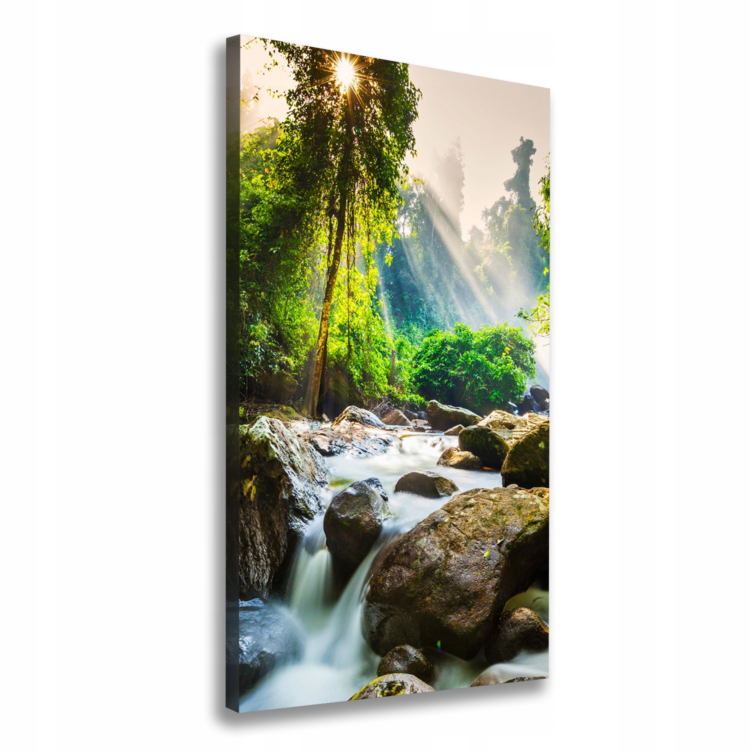 

Foto obraz na płótnie Wodospad w lesie 50x100 cm
