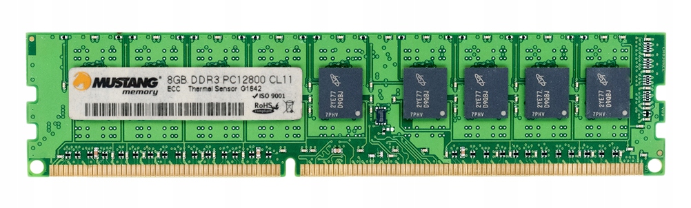 Mustang 8GB DDR3 1600MHz PC3-12800E Ecc Unbuff
