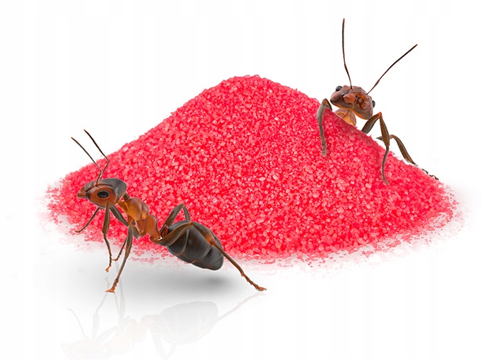 ŚRODEK PROSZEK PREPARAT TRUTKA NA MRÓWKI NA MROWISKA RED KILLER STRONG 1KG Producent Strong