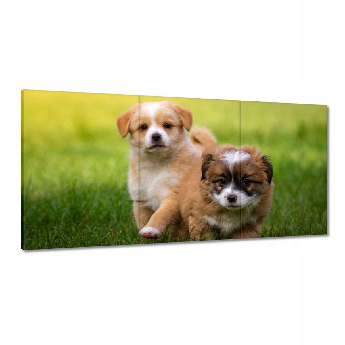 Obrazy 180x90 Psíky