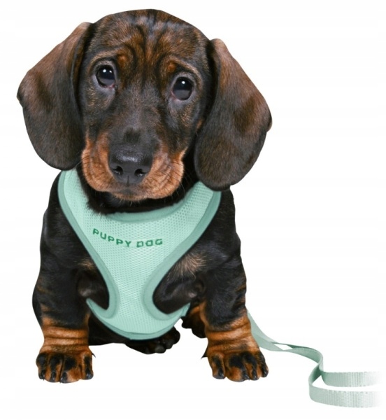 

Trixie szelki ze smyczą junior szczeniak (26-34cm)