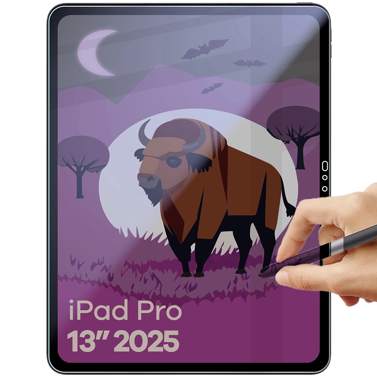 Sklo pro iPad Pro 13" M5 2025, Bizon, matné sklo pro ochranu soukromí