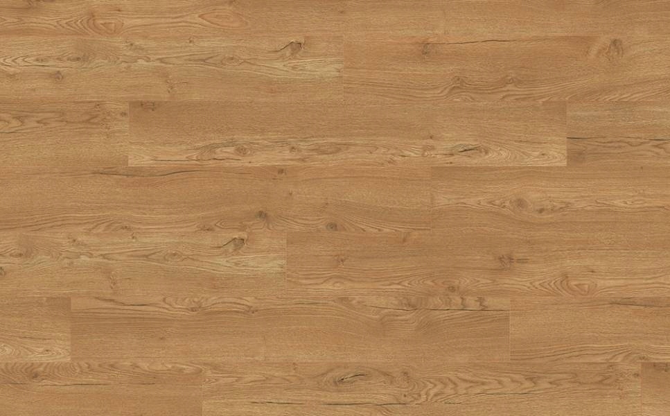 Panele Podłogowe Dąb Olchon Miodowy EGGER EPL144 Kod producenta EPL144