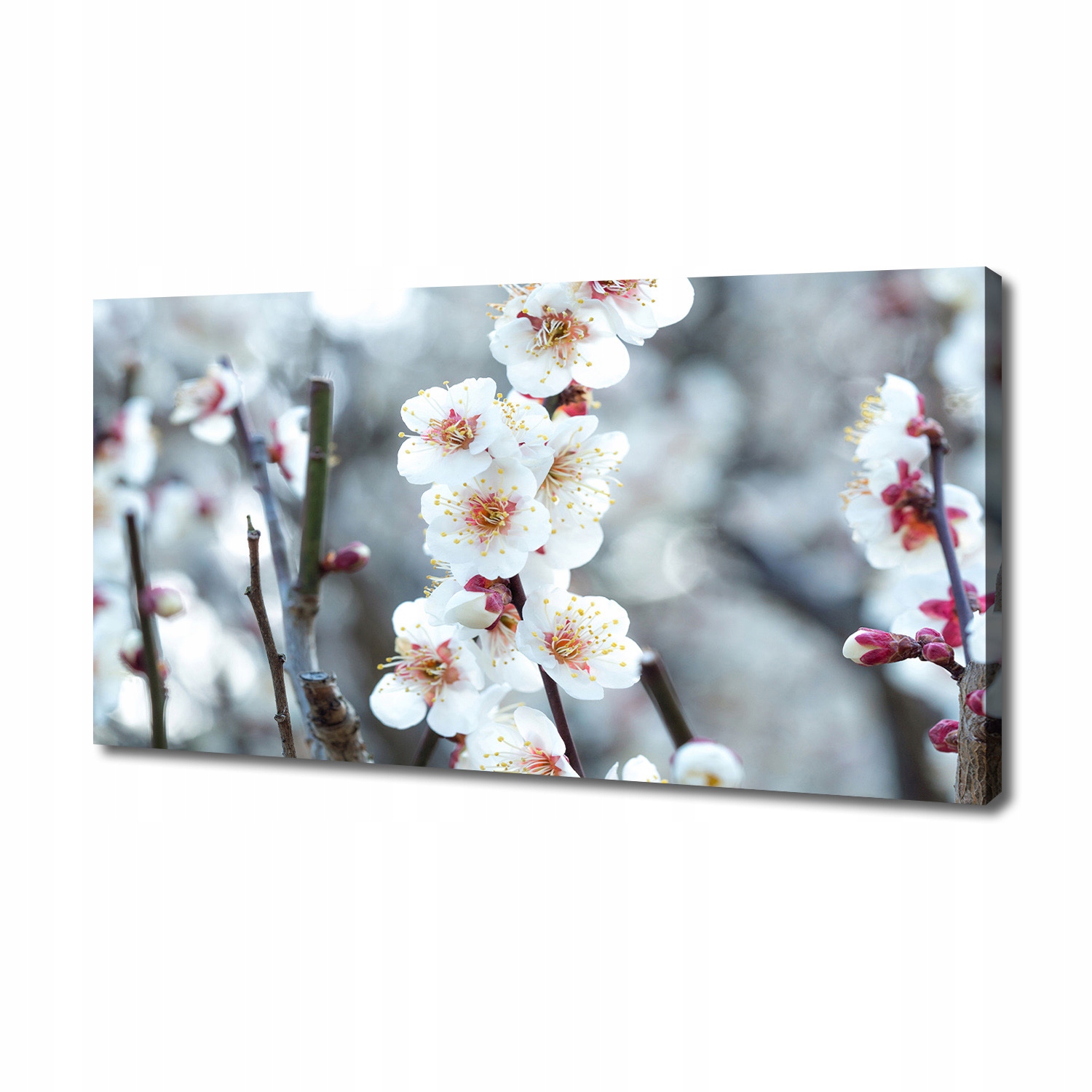 

Foto obraz duży na płótnie Kwiaty wiśni 140x70 cm
