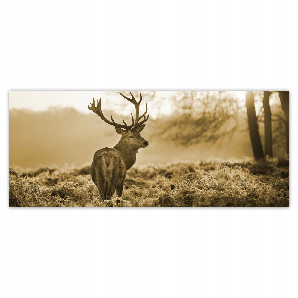 

Fototapety flizelina 250x104 Jeleń w lesie
