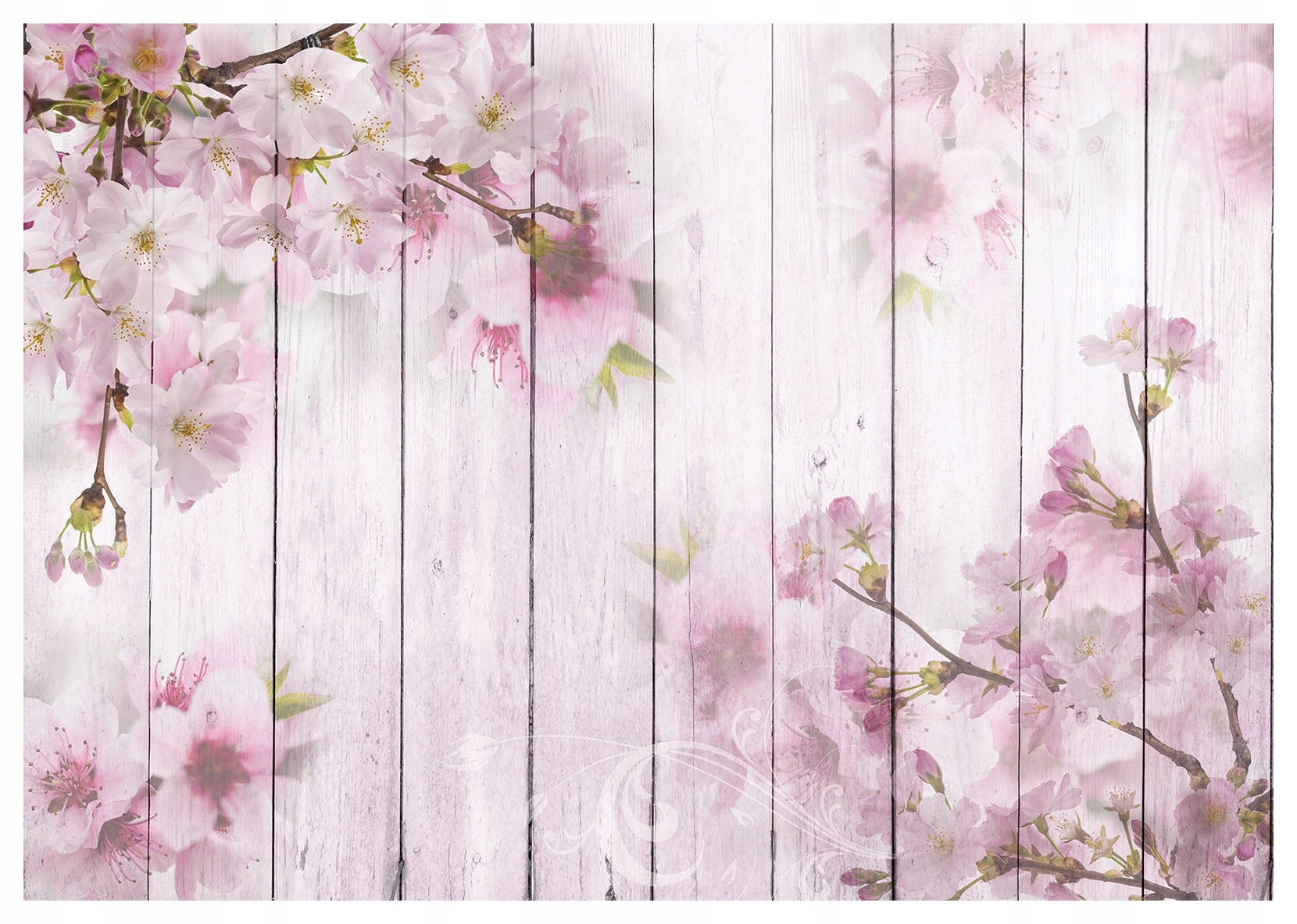 Fototapeta Kvetoucí višeň na dřevě vinylová deska 416x254 lepidlo
