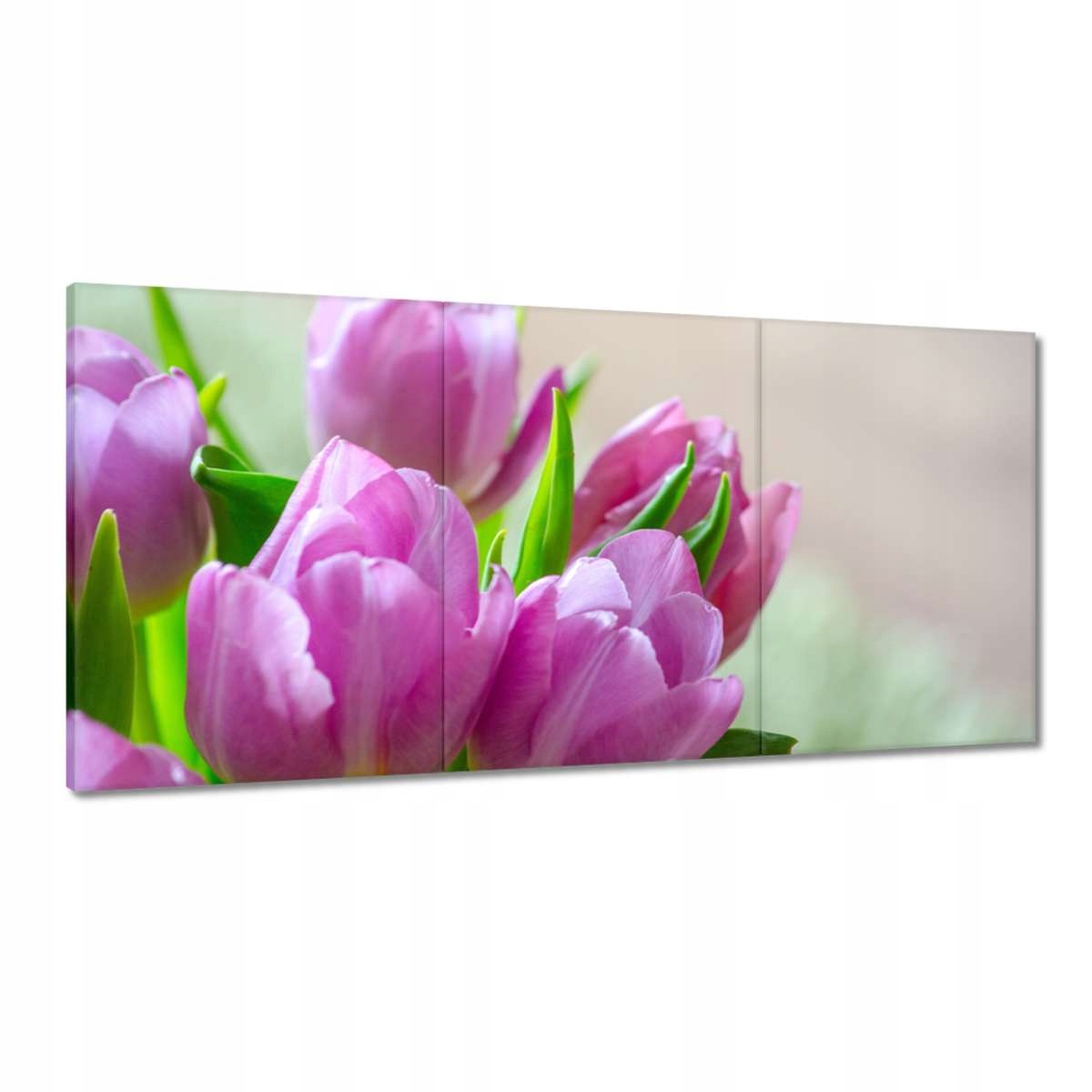 Obrazy 180x90 Tulipány Kvety