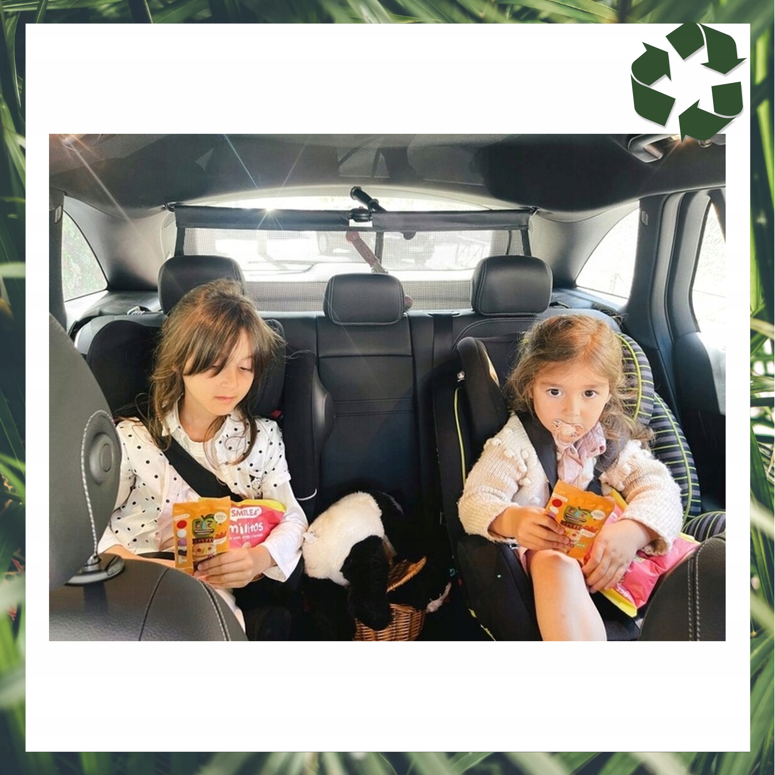 Żelki Owocowe BEZ CUKRU dla Dzieci JABŁKO I CYTRYNA 25g x 15 sztuk KARTON Kod producenta SML06595