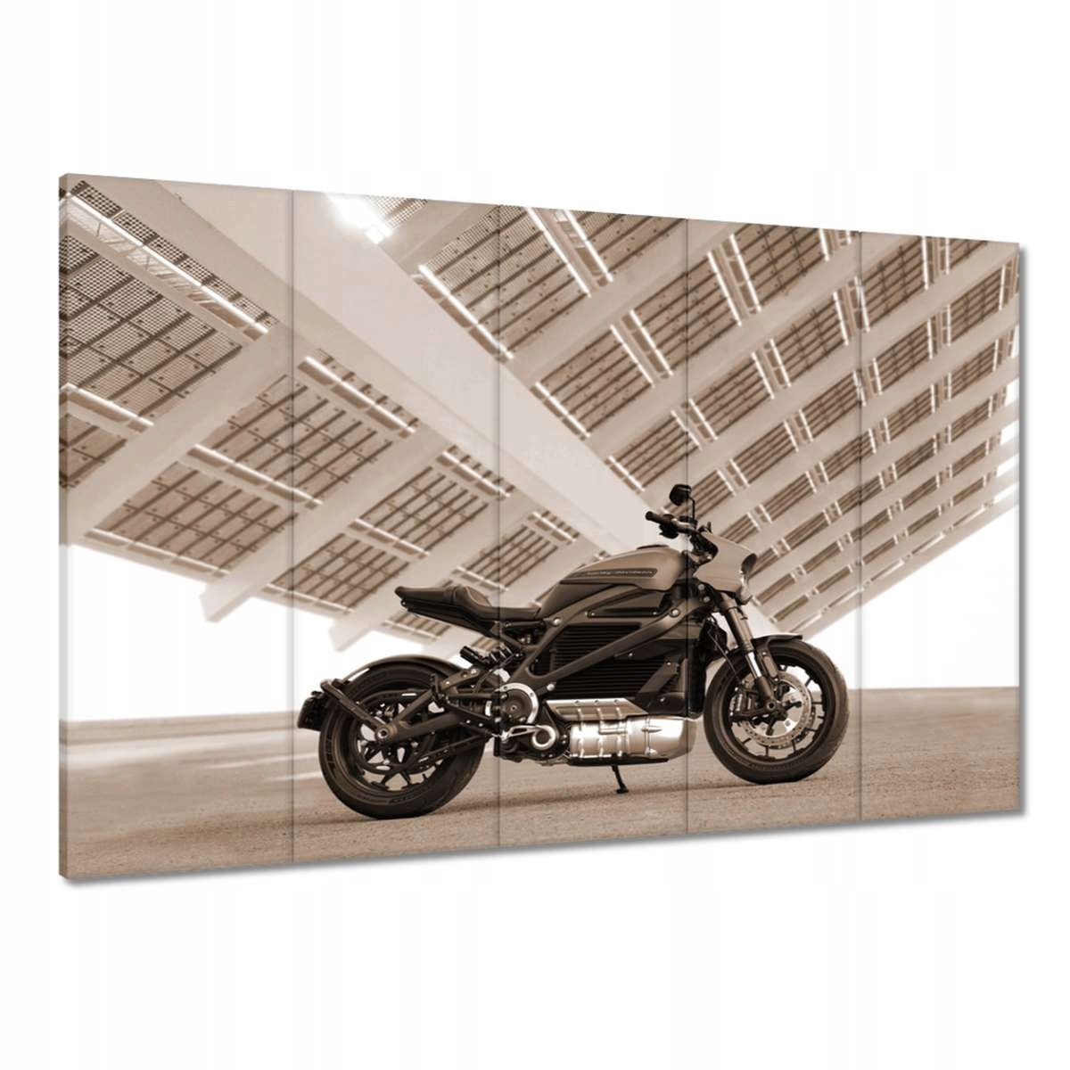 Obrazy 100x70 Harley Davidson Motocykl