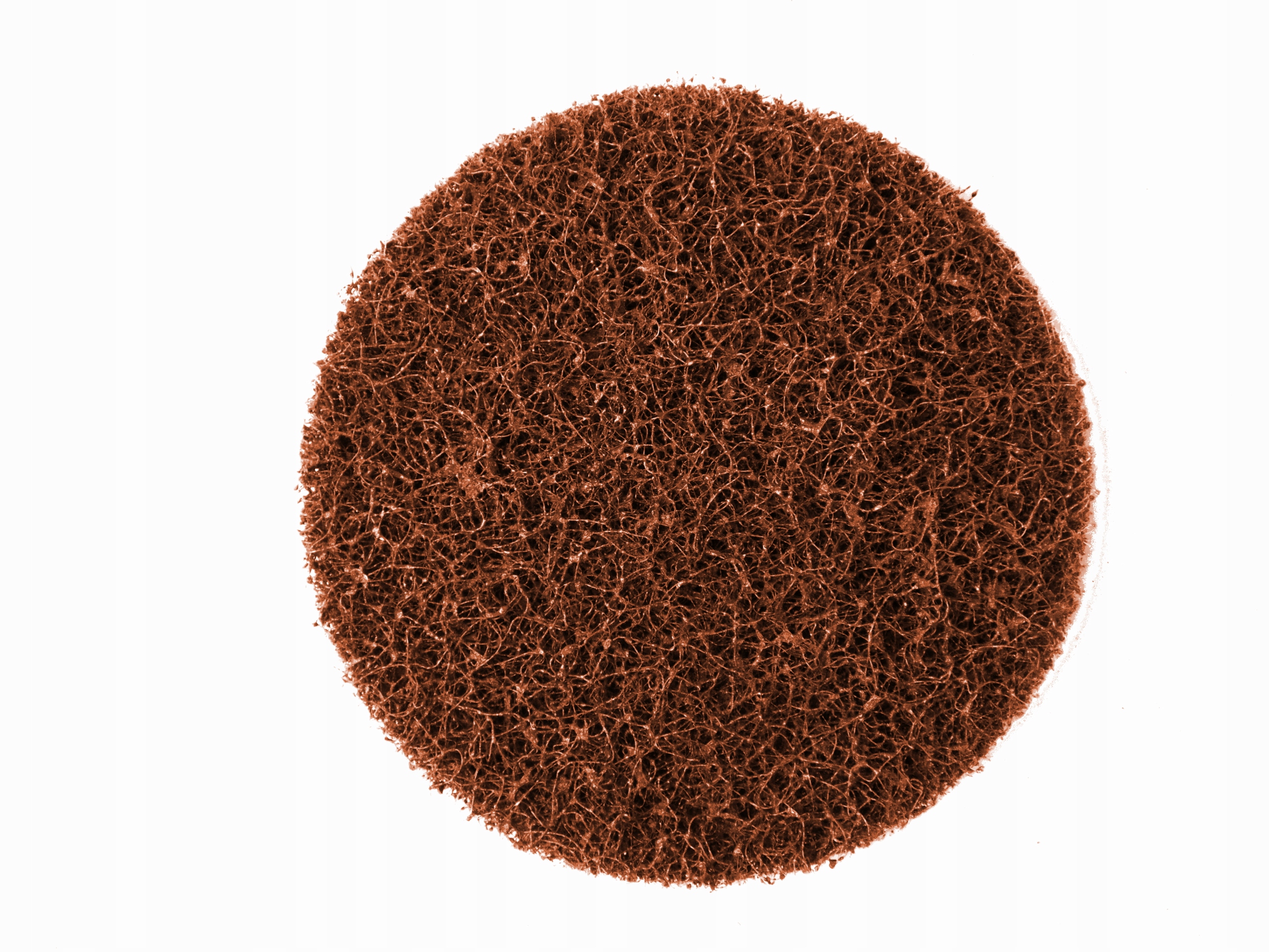 

Włóknina Ścierna Krążek Dysk 125mm Ostra Coarse