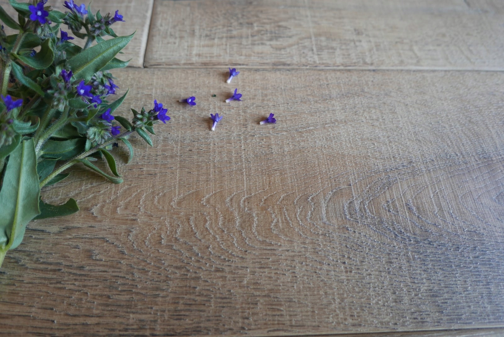 deska olejowana, warstwowa, podłoga dębowa Kolekcja Rustykalna