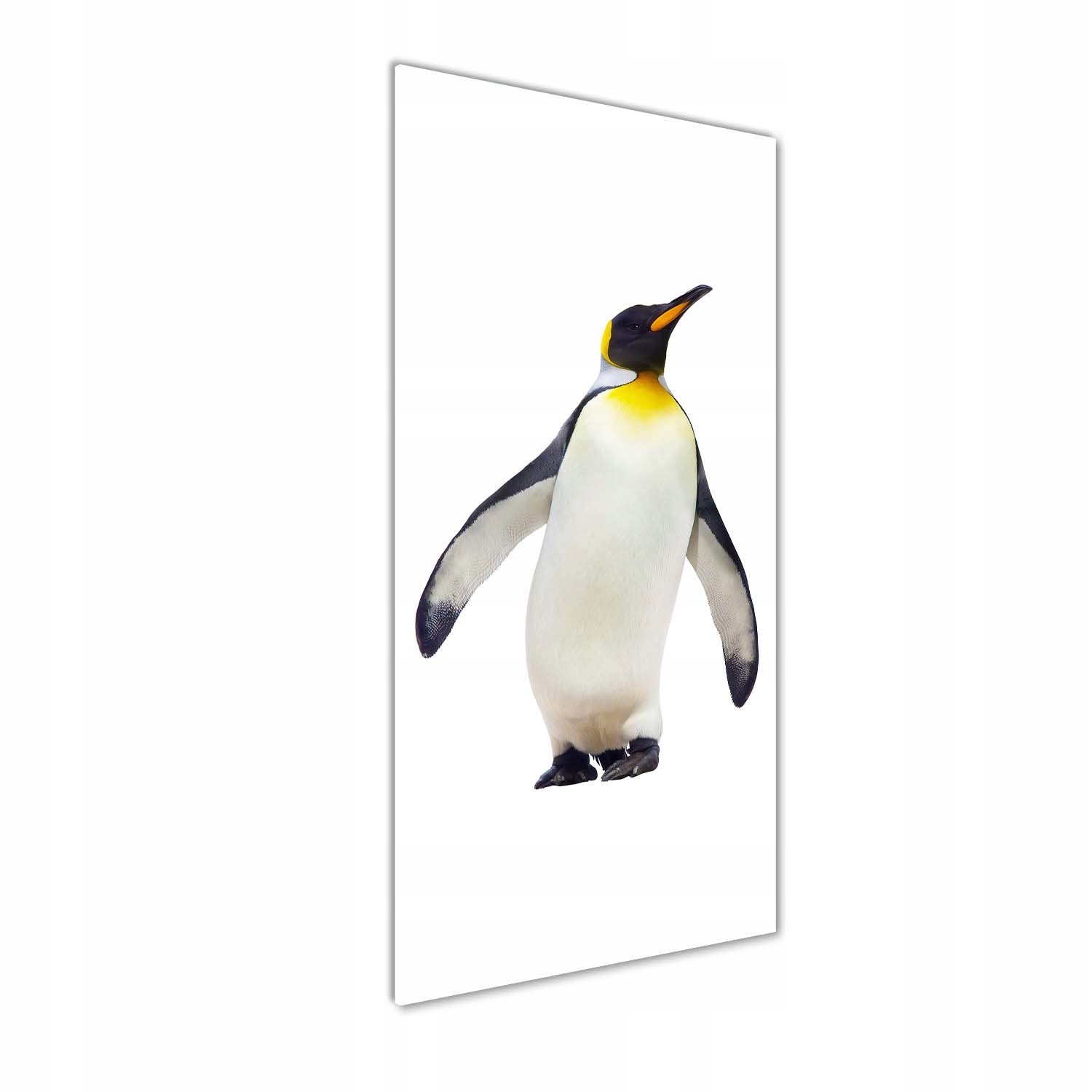 Fotoobraz na skle Tučňák 50 x 125 cm