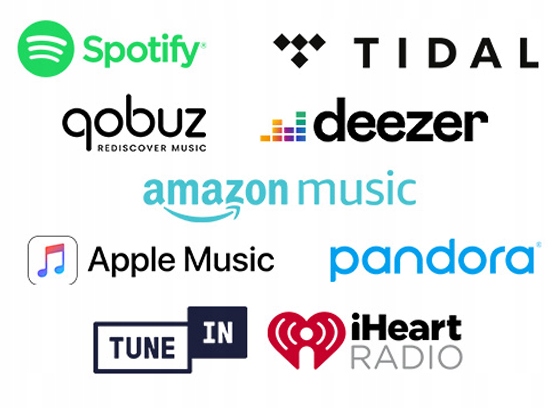 WiiM AMP CIEMNOSZARY - STREAMER WZMACNIACZ | WIFI | AIRPLAY2 | BLUETOOTH Liczba analogowych wejść audio 1