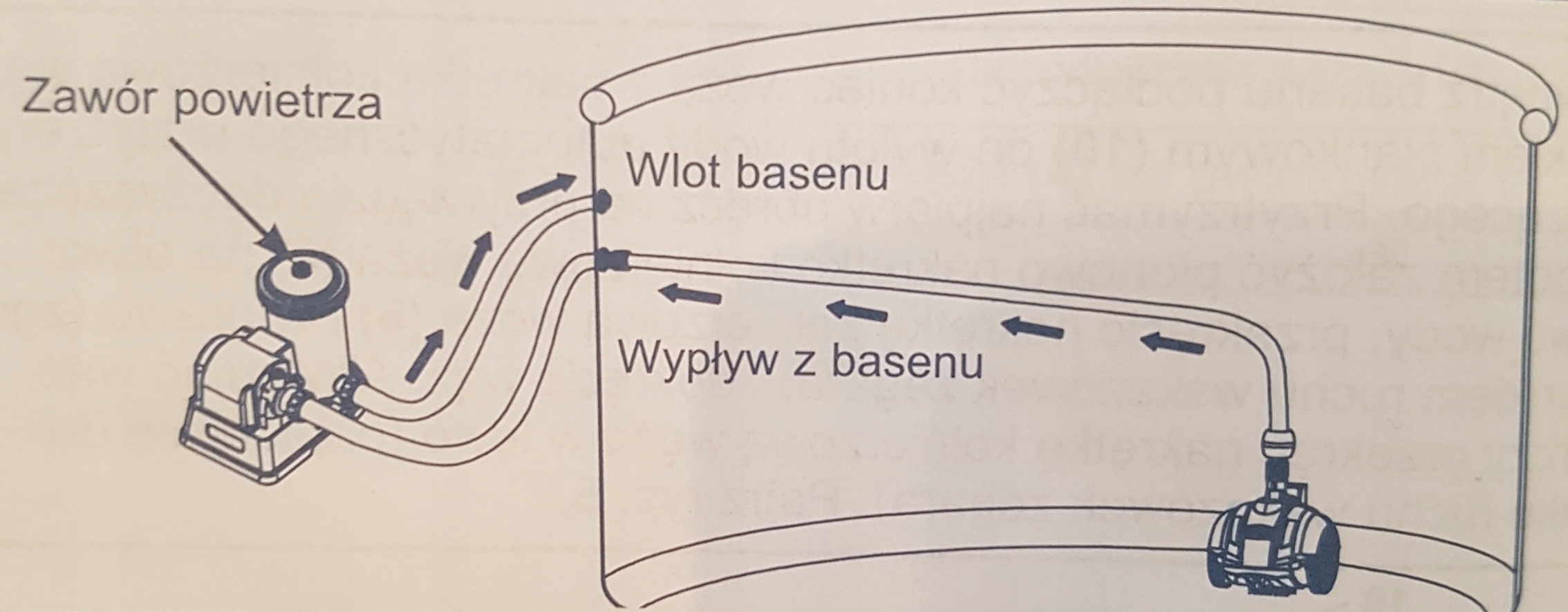 INTEX 28007 AUTOMATYCZNY ODKURZACZ DO BASENU ZX50 Producent Intex