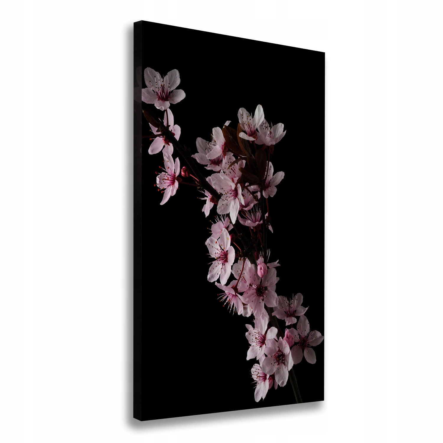 

Foto obraz canvas do salonu Kwiaty wiśni 60x120