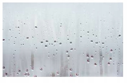 WALK IN 120 cm SZYBA 8mm BESCO CZARNA RAMKA Kod producenta TOCA BLACK