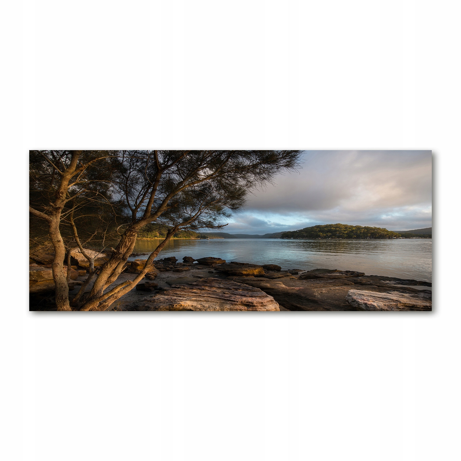 

Foto obraz szkło akryl Drzewo nad rzeką 125x50 cm