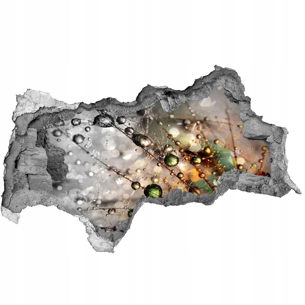 

Samoprzylepna Naklejka na ścianę Nasiona dmuchawca