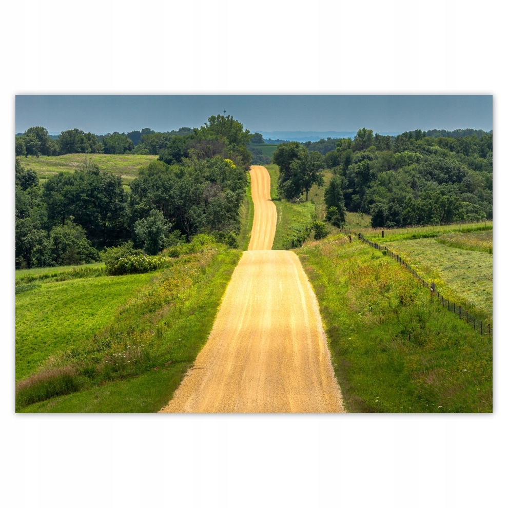 

Plakaty 93x62 Droga Łąka Pole Las
